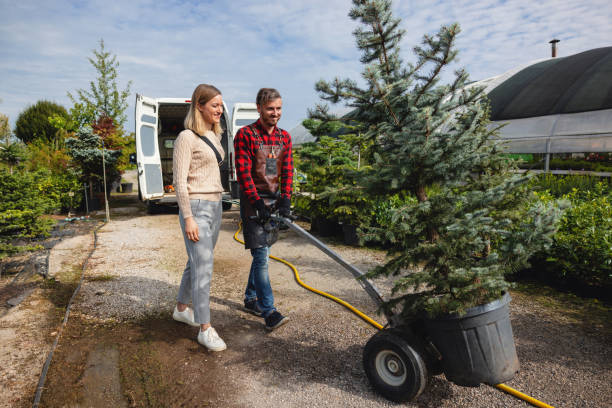 Best Tree Branch Trimming  in Florissant, MO